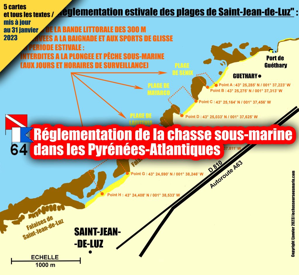 Livre La Chasse Sous-Marine – Le Guide Complet Pour Passionnés De Pêche Et D’Aventure (Alciumpeche)