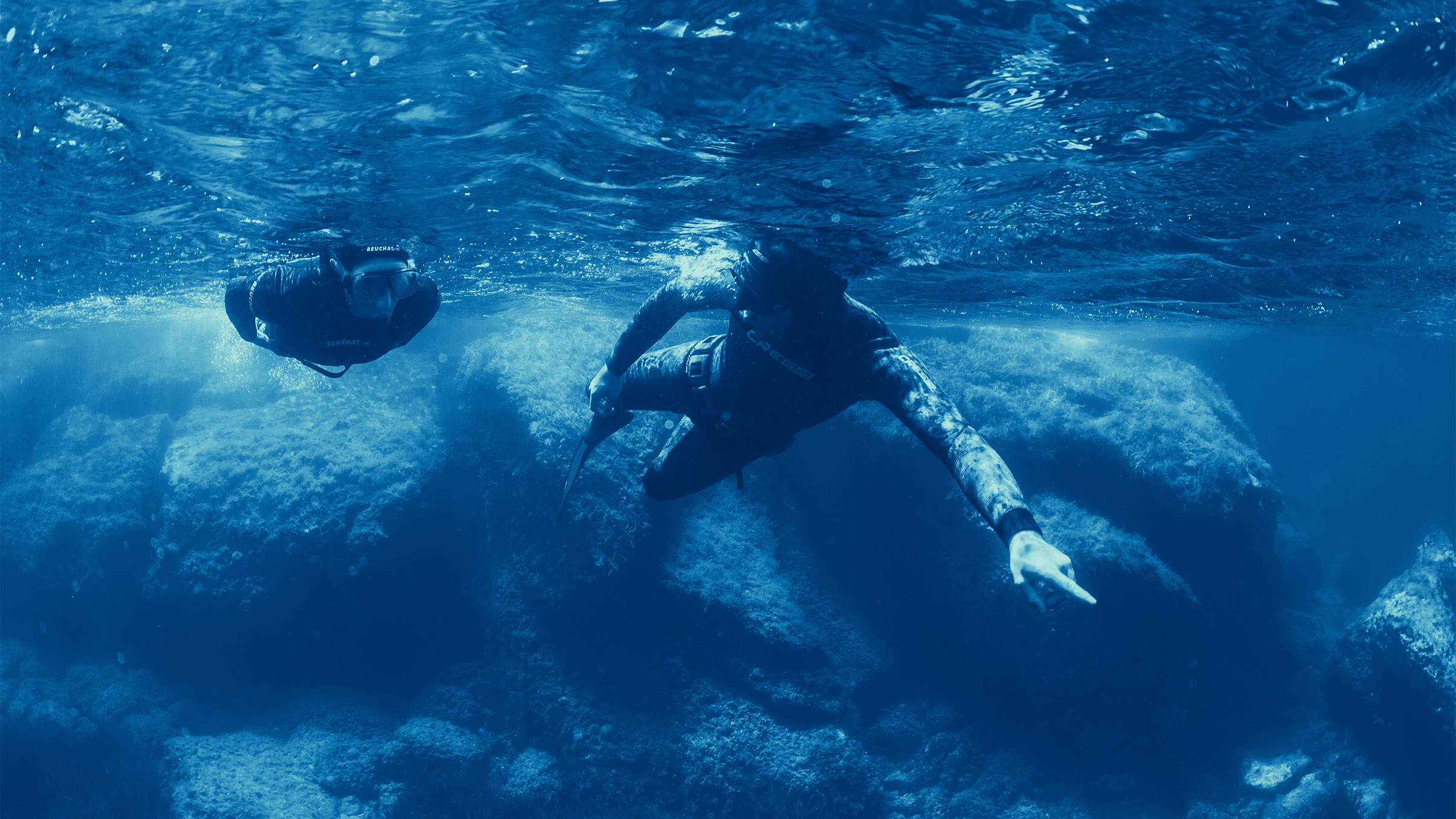 Stage de chasse sous-marine "niveau débutant" - 1 journée