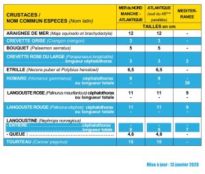 Tailles mini capture CRUSTACES_janvier 2026
